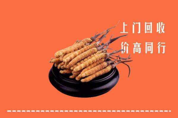高价求购：克拉玛依市独山子区回收散虫草