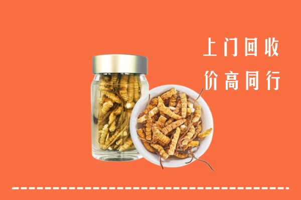 克拉玛依市独山子区回收冬虫夏草