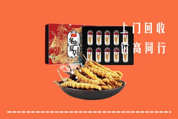 克拉玛依市独山子区回收虫草